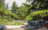 Фото отеля «Алушта» гостиница