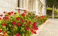 Фото отеля «Багрипш» пансионат All Inclusive