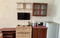 Номер Апартаменты Люкс 3-местные 1-комнатные (с кухней) — фото «Дим 2» апартаменты