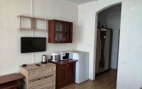Номер Апартаменты Люкс 3-местные 1-комнатные (с кухней) — фото «Дим 2» апартаменты