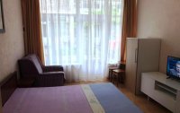 Номер Апартаменты Стандартный 3-местный 1-комнатный (с кухней) — фото «Дим 2» апартаменты