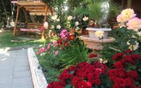 Фото отеля «Эспаньола» эко-отель