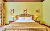 Номер Делюкс Кинг 2-местный — фото «Grand Hotel Polyana» / «Гранд Отель Поляна» гостиница
