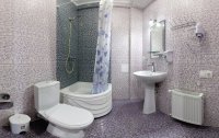 Номер Улучшенный 2-местный 1-комнатные ЮГ (DBL) — фото «Прага» парк-отель