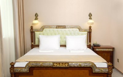 Номер Полулюкс 2-местный 1-комнатный — отель «TES-hotel Resort & SPA» / «ТЭС-отель Резорт & СПА» отель