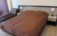 Номер Апартамент Стандартный 2-местный 1-комнатный (корпус Основной) — фото «Вилла Отрадное» гостевой дом