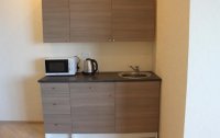 Номер Апартамент Стандартный 2-местный 1-комнатный (с террасой, 1 этаж, корпус Основной) — фото «Вилла Отрадное» гостевой дом