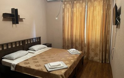 Номер Стандартный 2-местный 1-комнатный  (основной корпус) — отель «Водопад» пансионат
