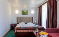 Номер Комфорт 2-местный (TWIN/DBL) — фото «WELLNESS Park Hotel GAGRA All Inclusive» / «Велнес Парк отель Гагра» отель