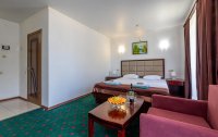 Номер Комфорт 2-местный (TWIN/DBL) — фото «WELLNESS Park Hotel GAGRA All Inclusive» / «Велнес Парк отель Гагра» отель