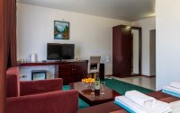 Номер Комфорт 2-местный (TWIN/DBL) — фото «WELLNESS Park Hotel GAGRA All Inclusive» / «Велнес Парк отель Гагра» отель
