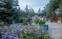 Фото отеля «Южный» пансионат